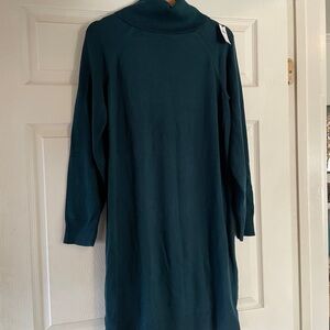 Banana Republic Teal Long Sleeve Dress